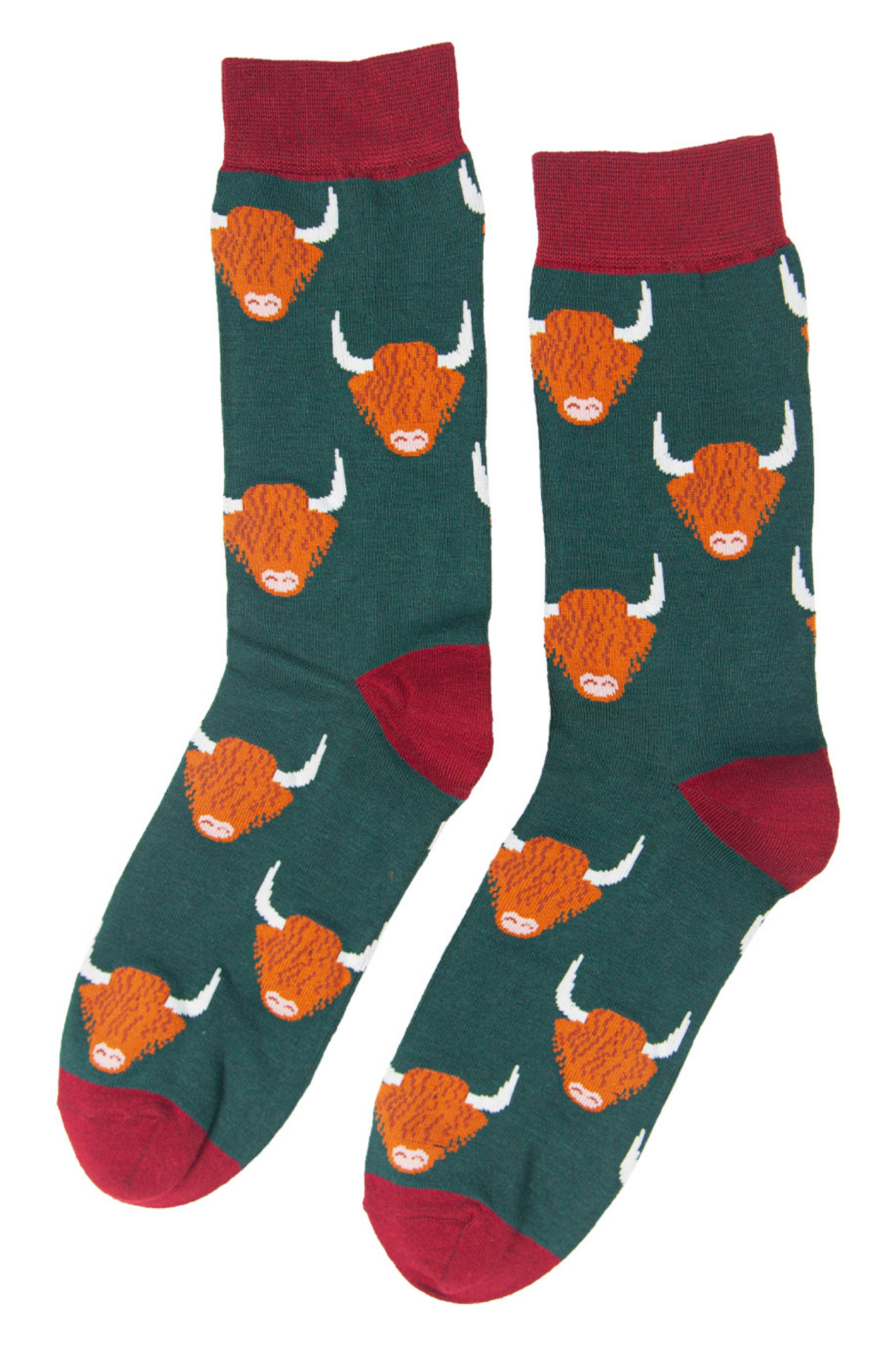 green and red dress socks with a highland cattle print