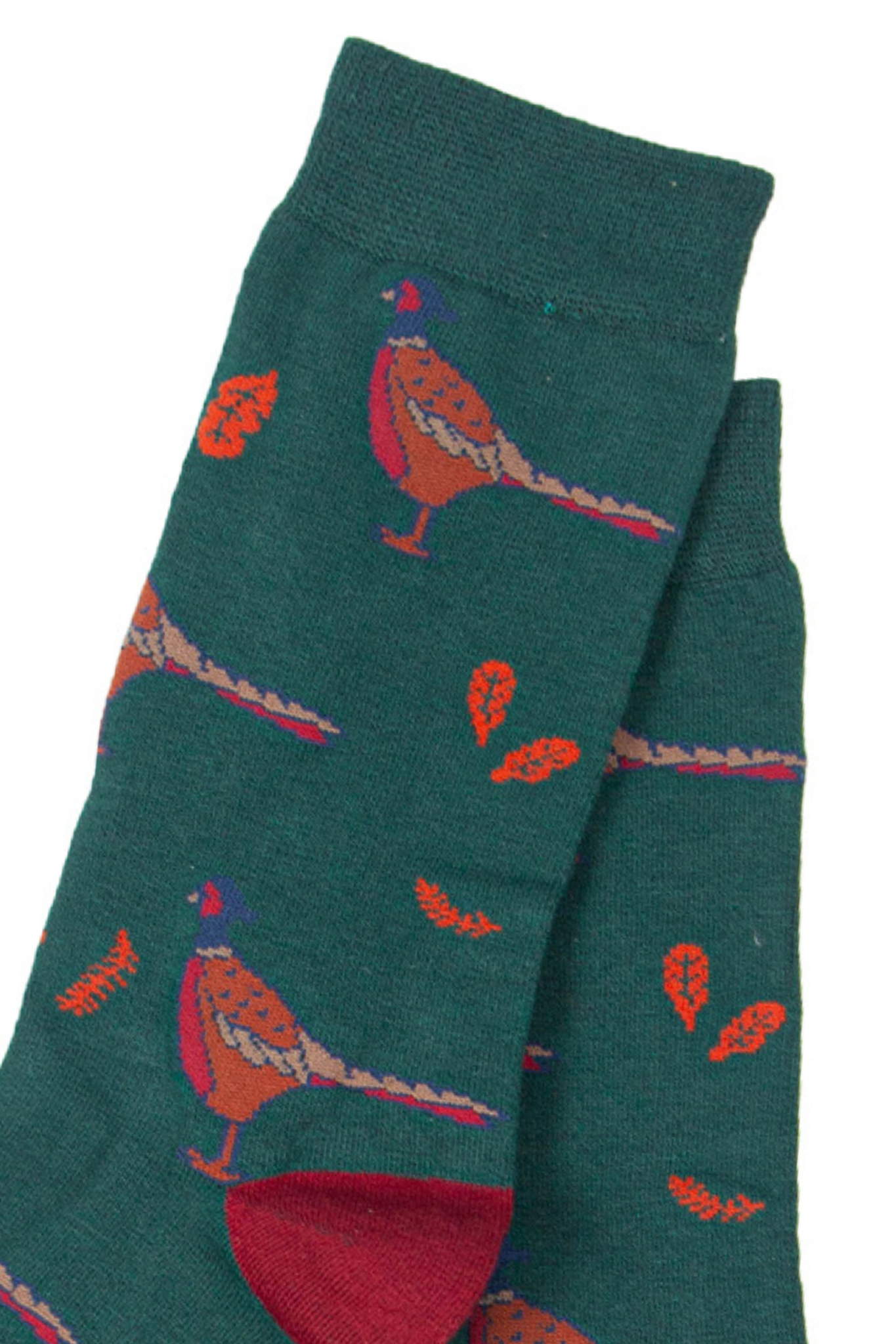 close up of the pheasant print