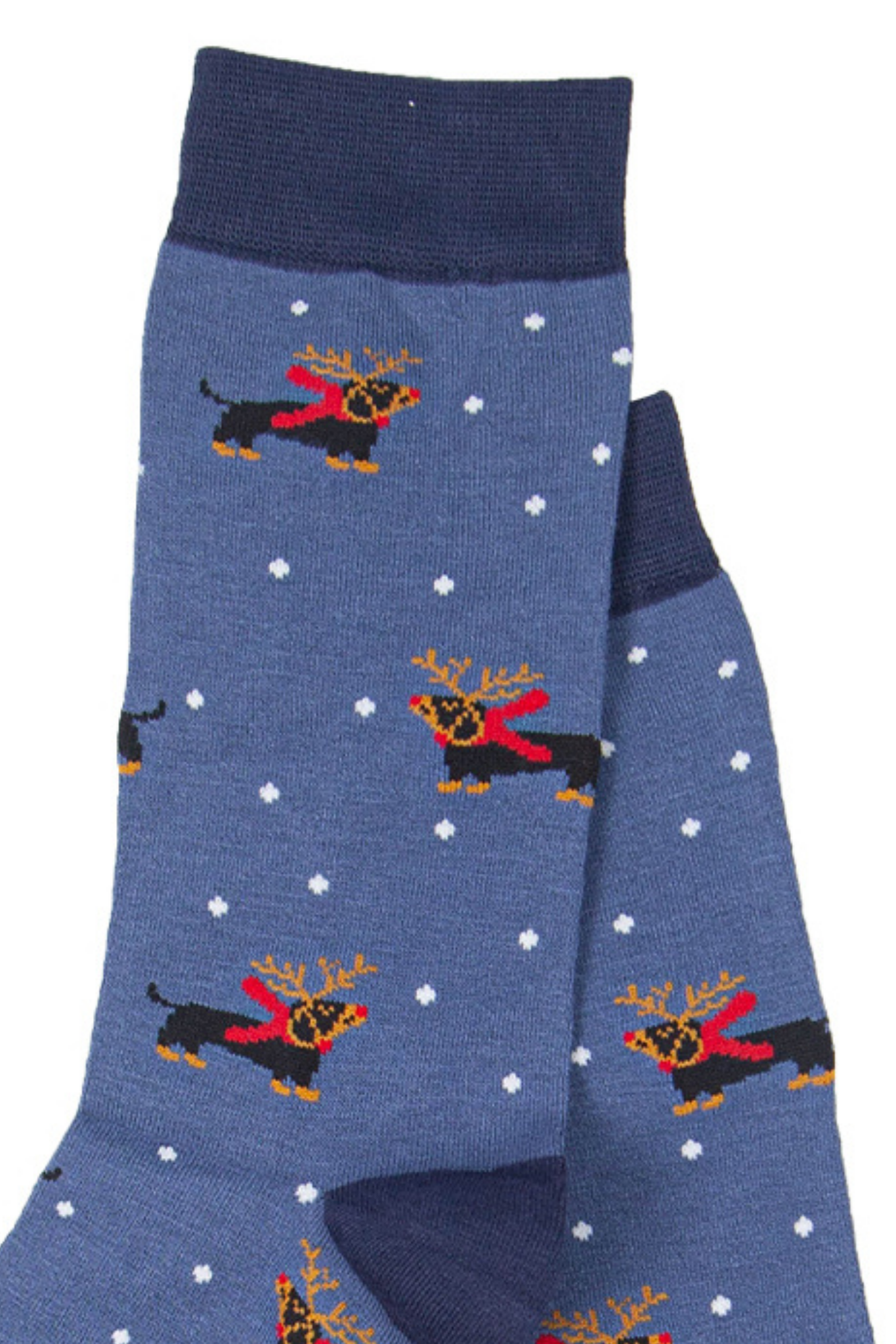 close up of the sausage dog wearing festive reindeer antlers