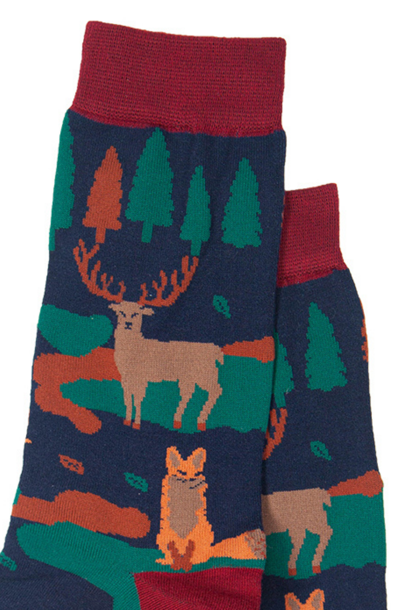 close up of the fox and stag