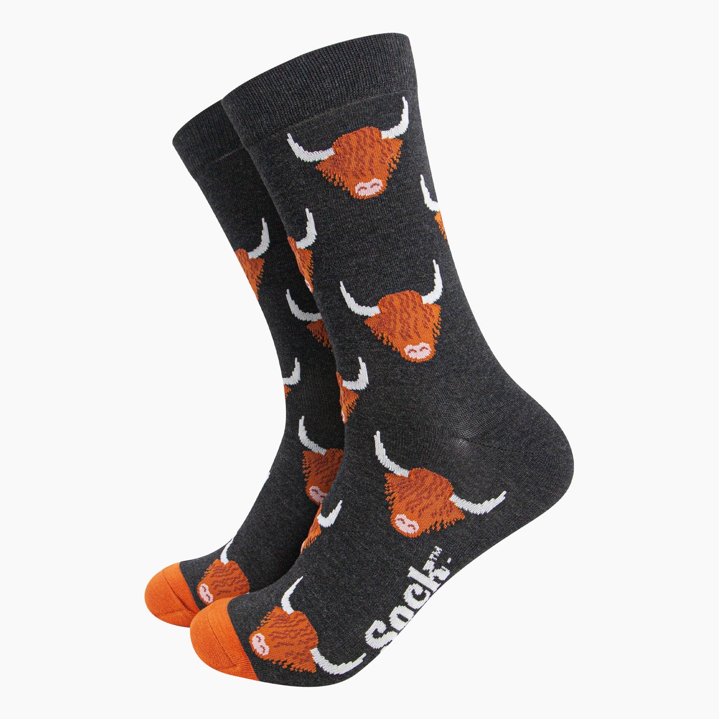 mens-socks-gift-box-blue-highland-cow-black