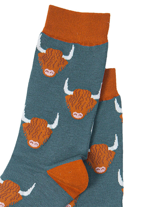 close up of highland cow pattern