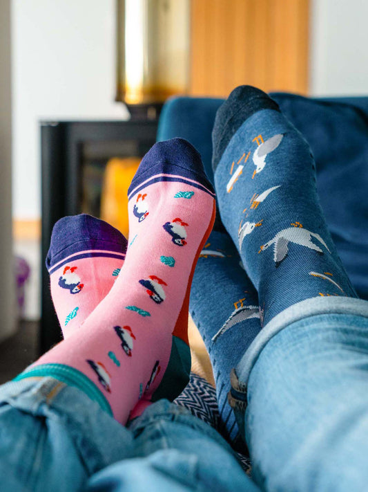 pink-puffin-print-bamboo-socks-blue-seagull-print-bamboo-socks