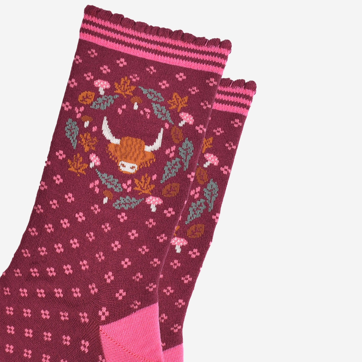 close up of the highland cow and wreath design which shows the head of a highland cow surrounded by autumn leaves and pink toadstools