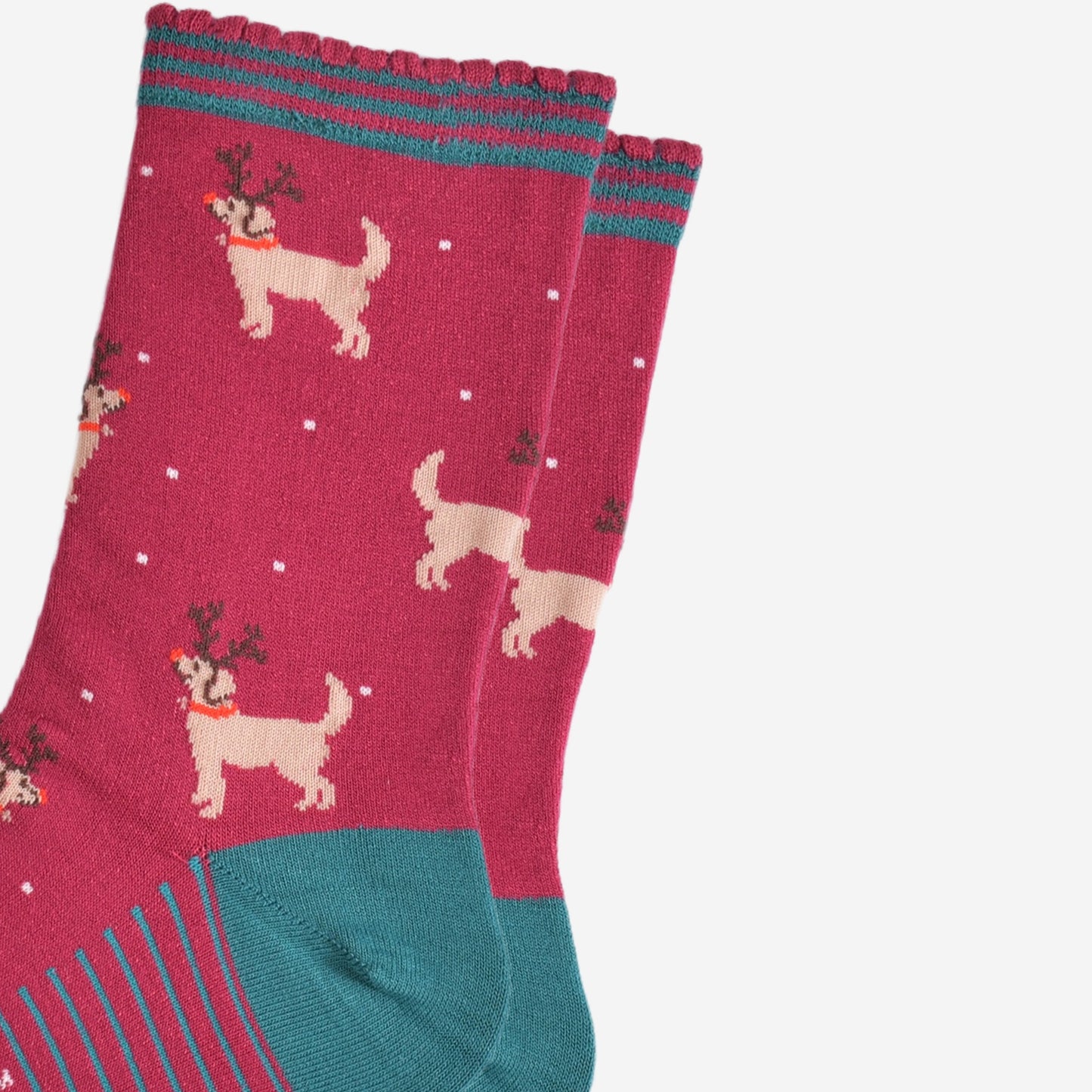 close up of the golden retriever pattern, the dogs are standing and are wearing antlers and red noses