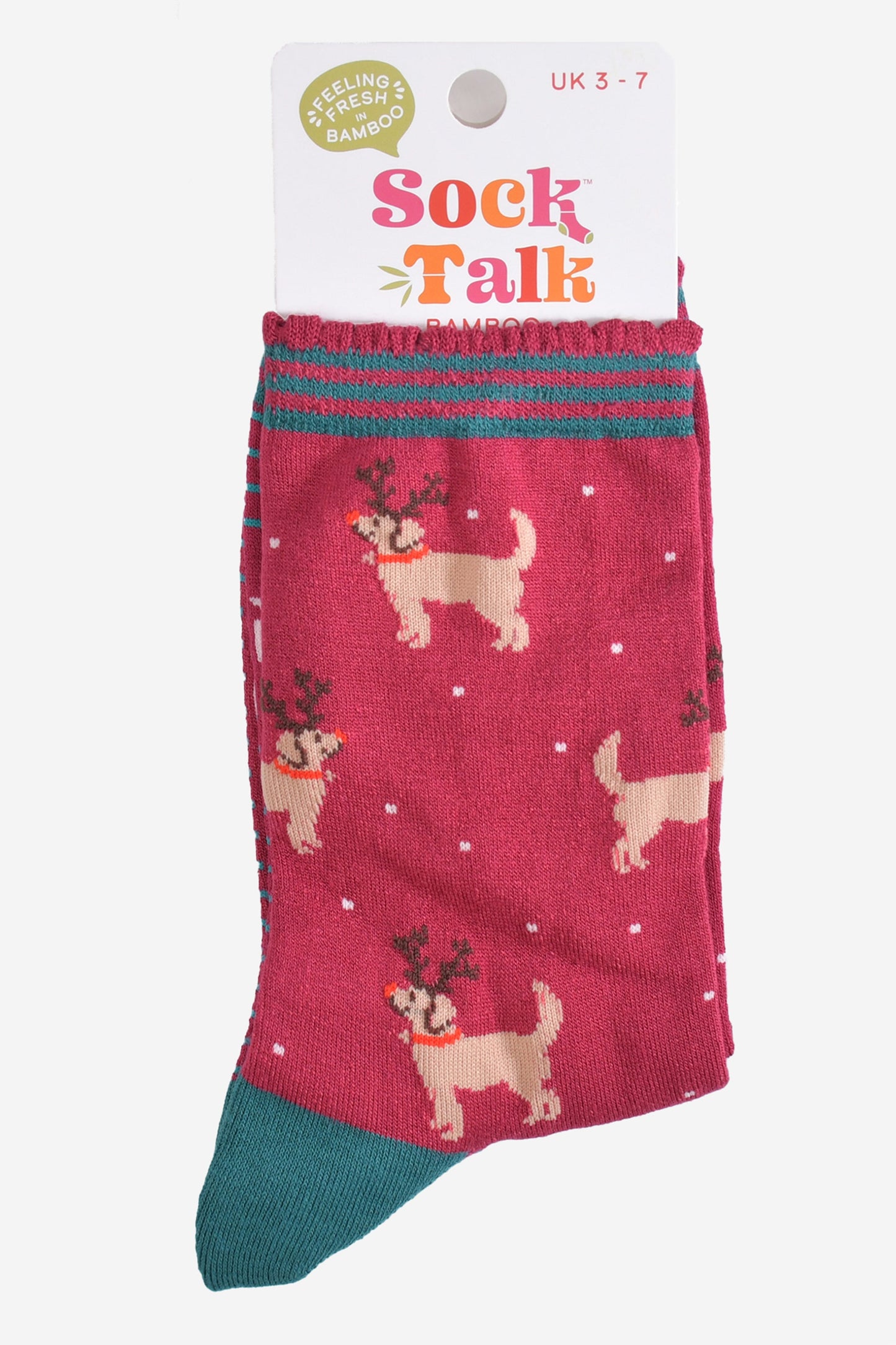 christmas golden retriever bamboo socks in their sock talk packaging, these socks are a uk size 3-7