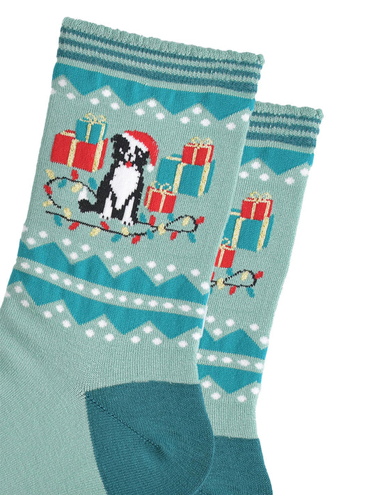 close up of the border collie on the ankle of the socks, it is wearing a red santa hat and sitting among red and green xmas presents, on the floor at the dogs feet there is a string of colourful party lights