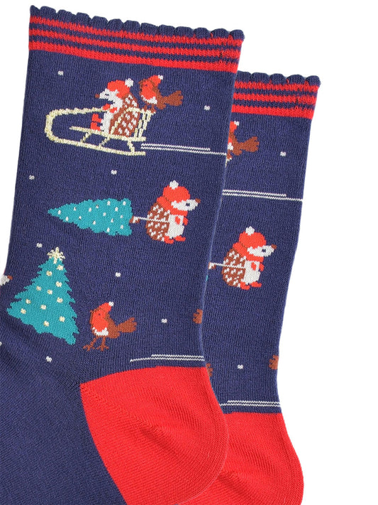 close up of the hedgehog and robin bird design on the socks, there is a hedgehog and robin on a sledge and a hedgehog pulling a xmas tree