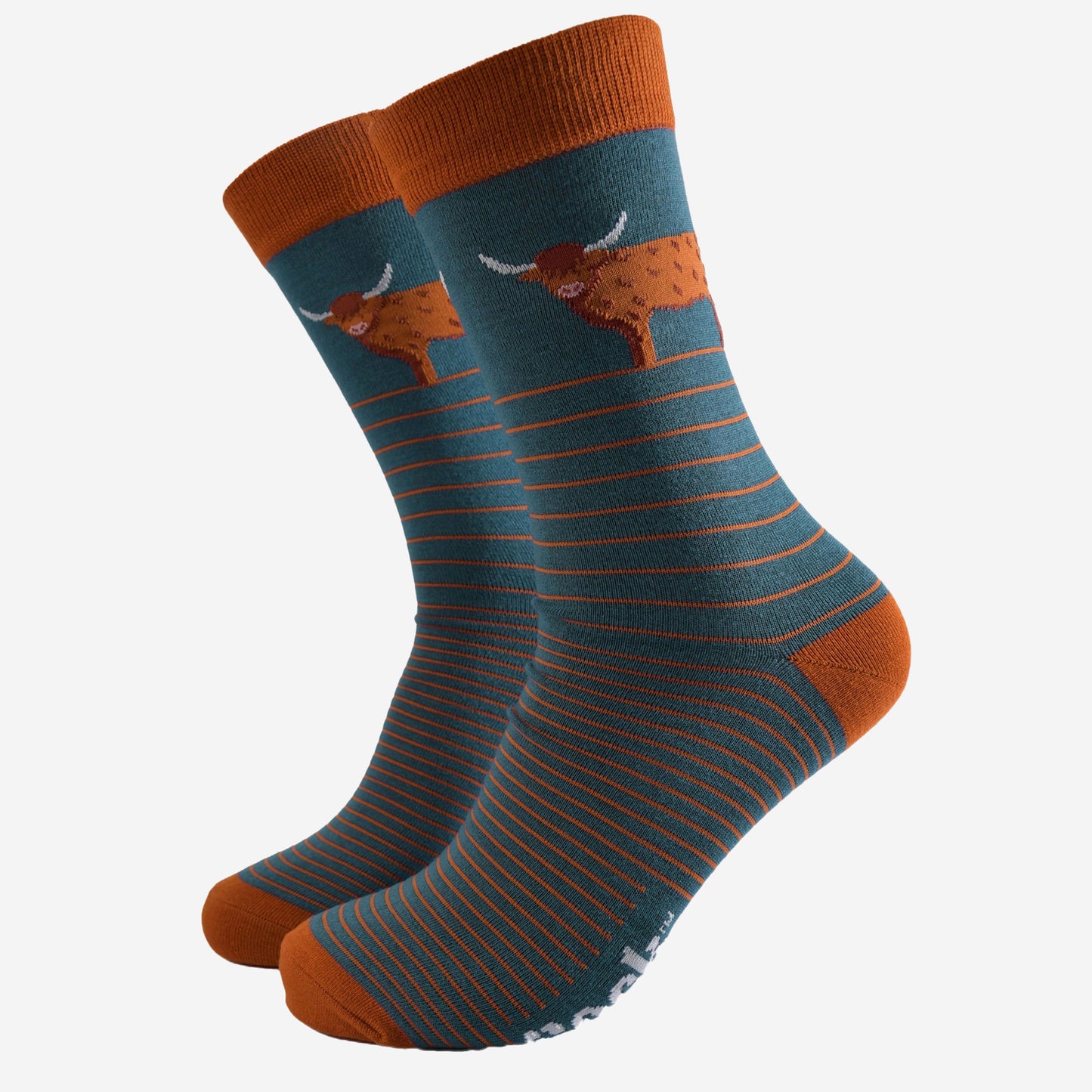 teal blue socks with a burnt orange pin striped and a large standing highland cow on the ankle