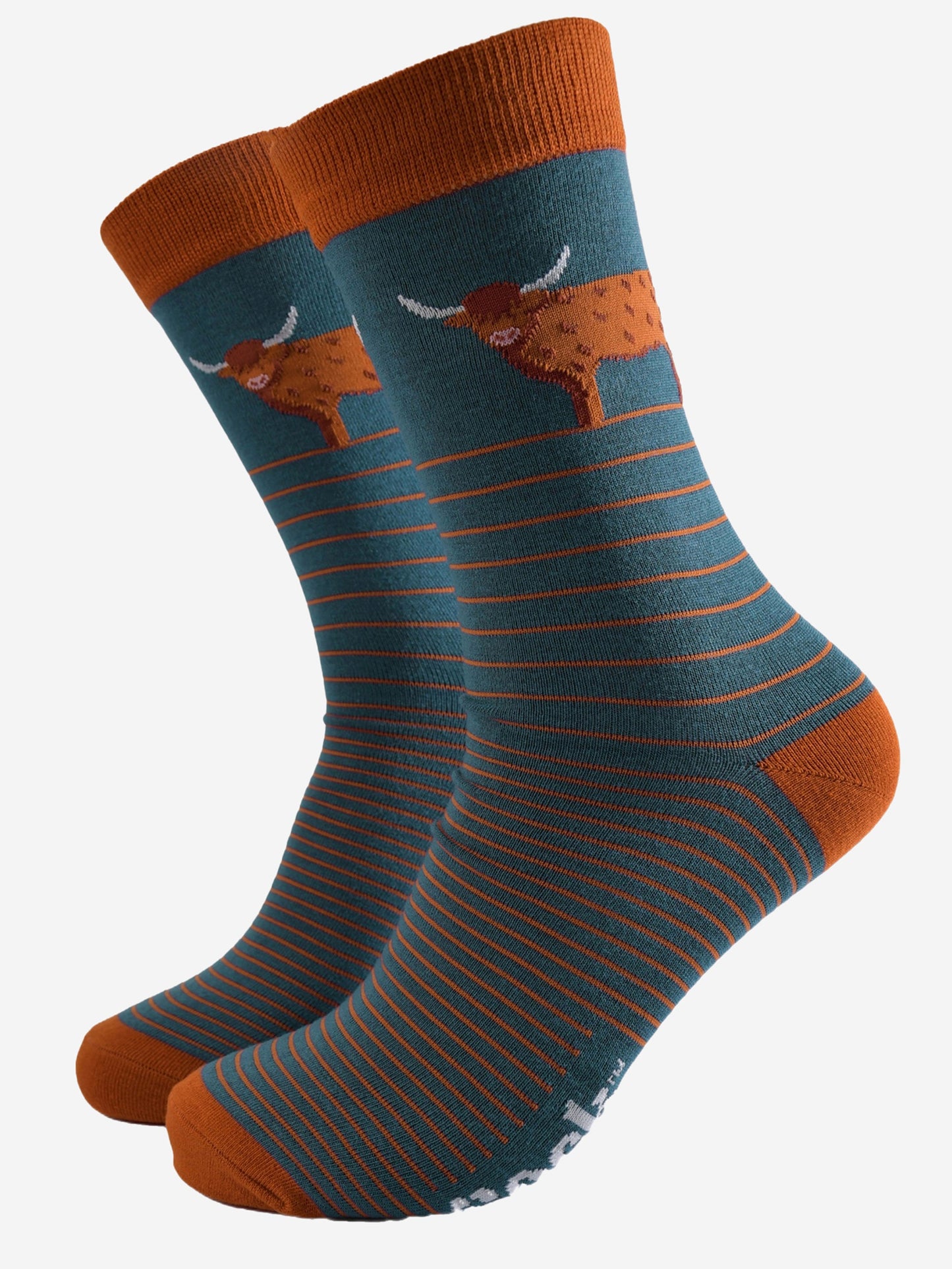 teal blue socks with a burnt orange pin striped and a large standing highland cow on the ankle