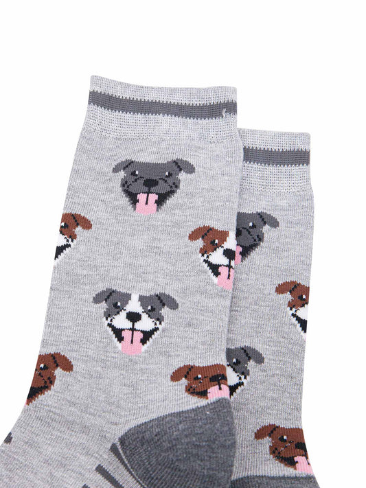 mens-bamboo-socks-grey-staffy-bull-terrier-close-up-grey-white-brown-dog-faces-staffordshire-bulldogs