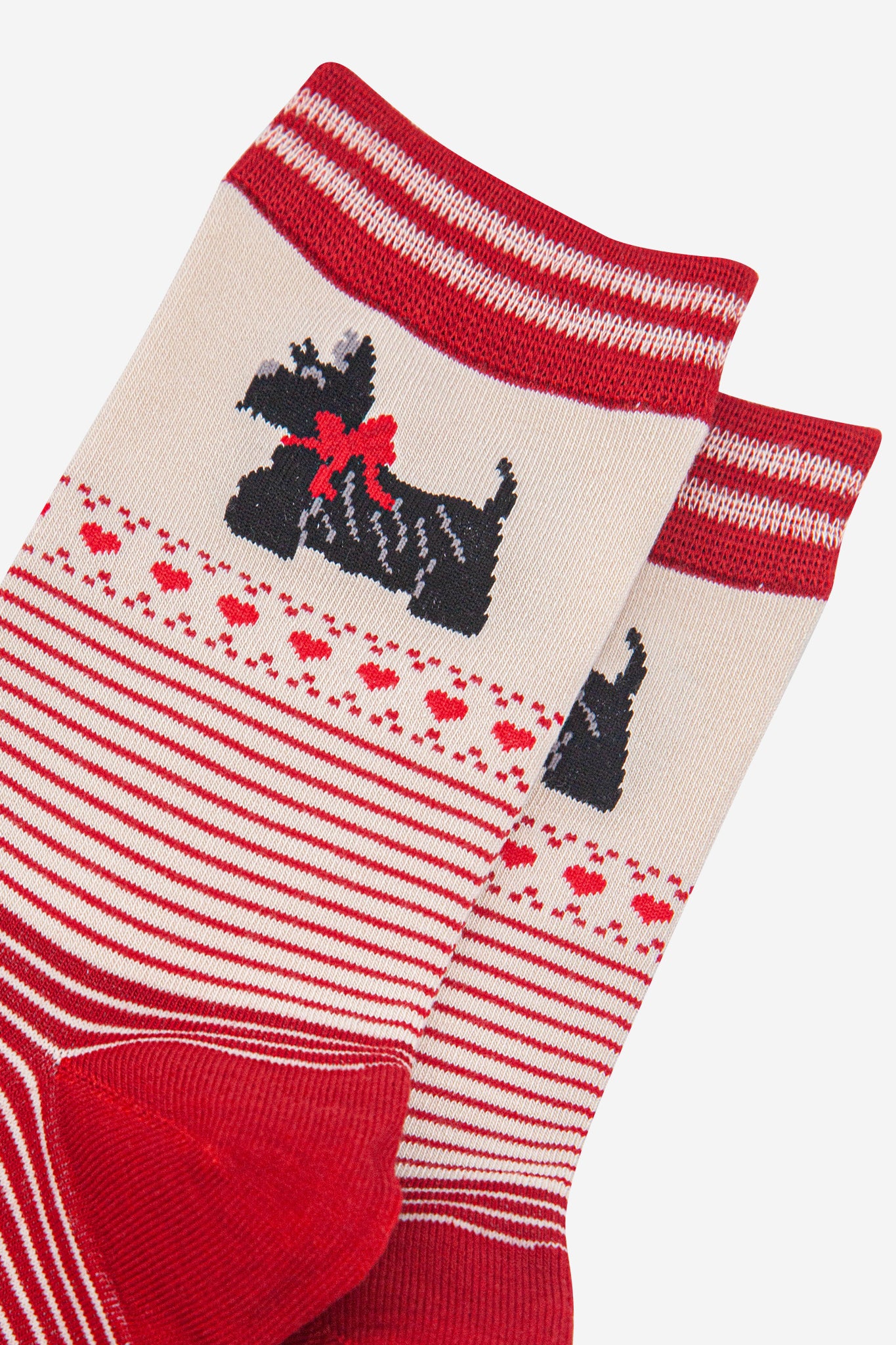 womens-bamboo-socks-cream-red-scottish-terriers-stripes-close-up-black-dog