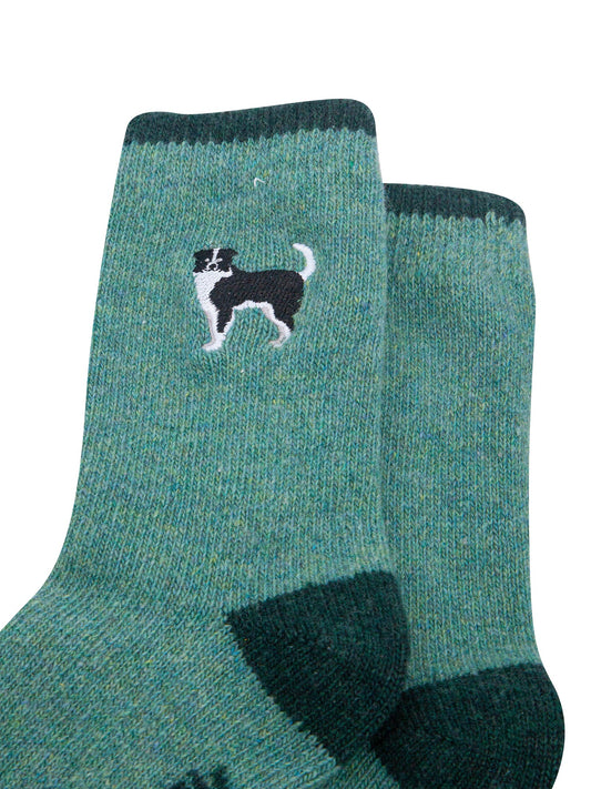 Collie-Dog-Embroidered-Wool-Socks-in-Green-Close-Up