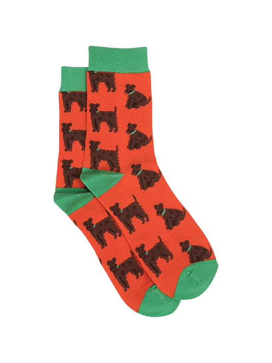 orange, green dress socks with schnauzer dogs on them