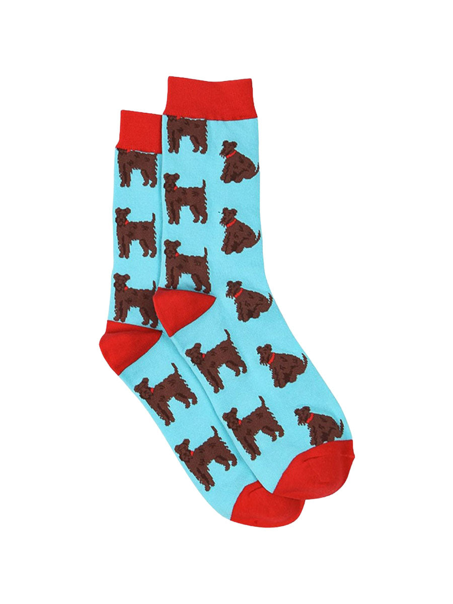 blue, red dress socks with schnauzer dogs on them