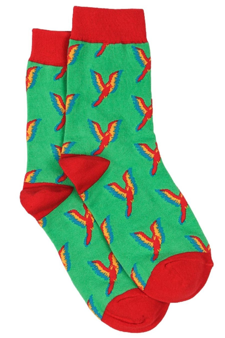 green and red dress socks with red parrots all over