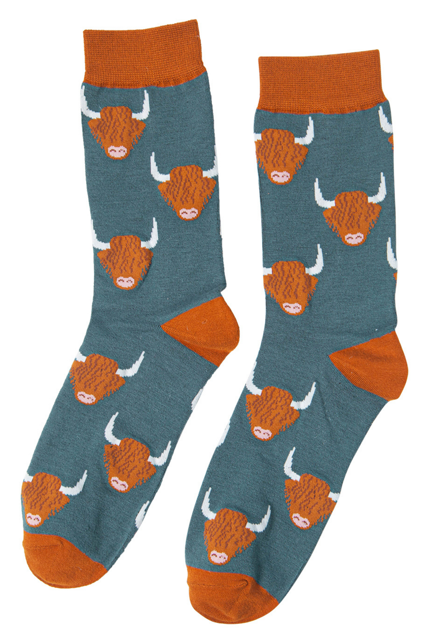 teal socks with highland cow print