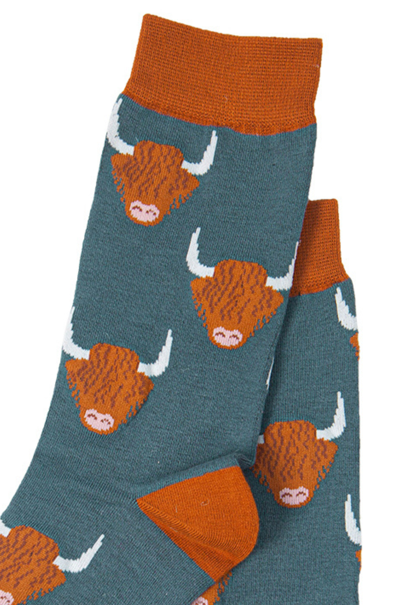 close up of highland cow pattern