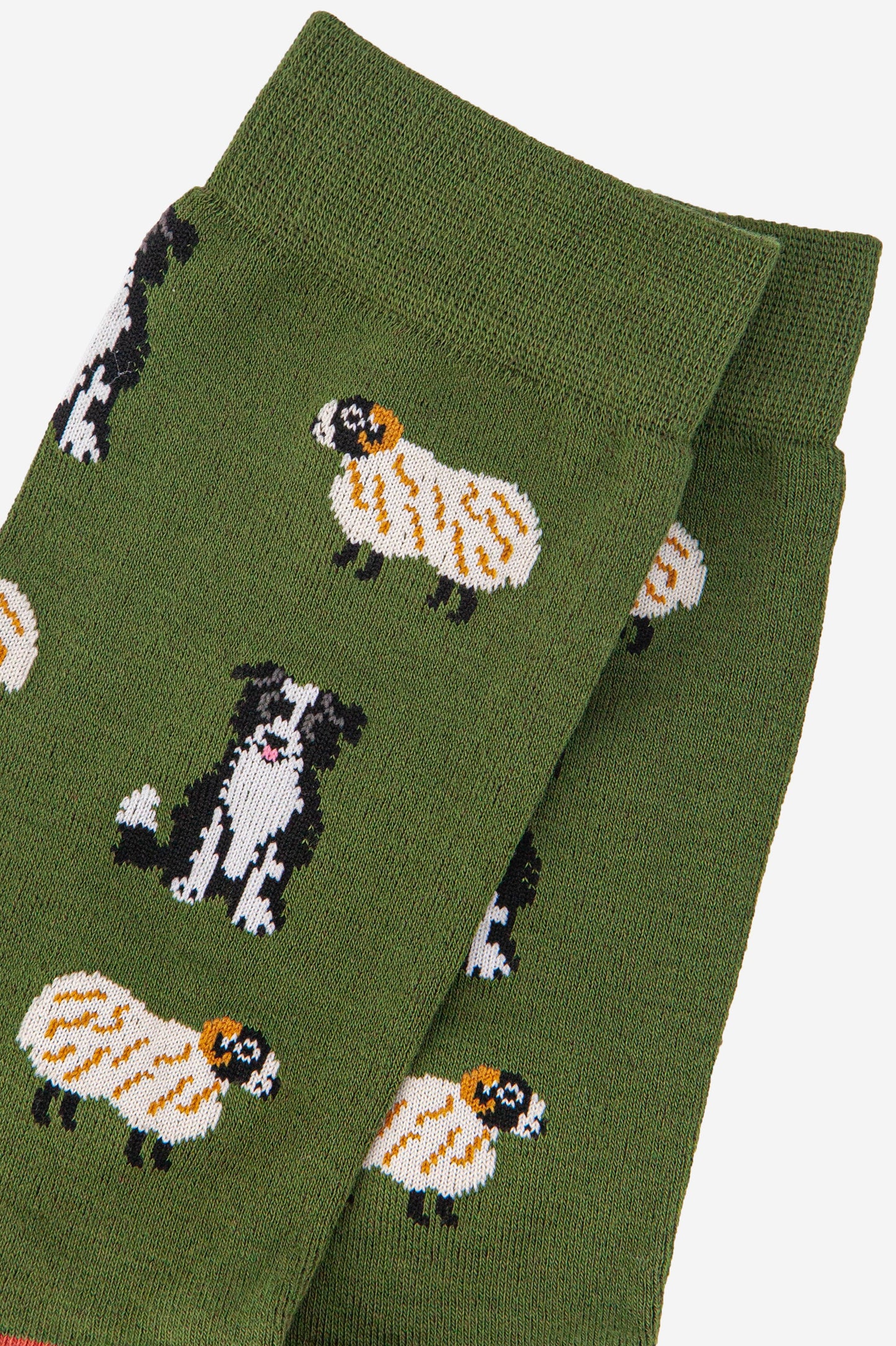close up of the sheep and sheepdog design on the socks