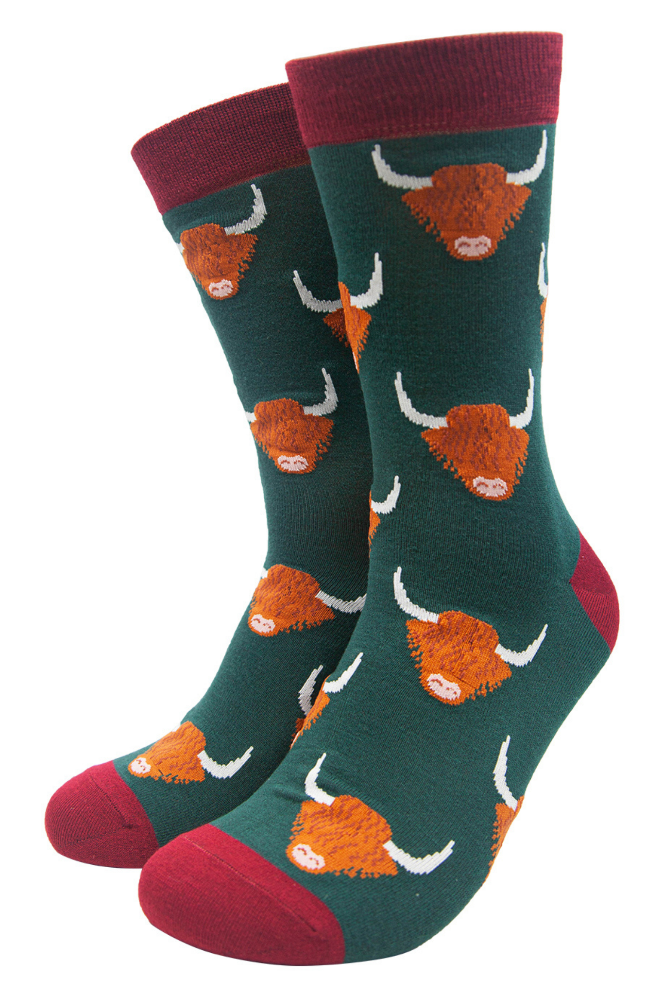 green and red dress socks with highland cows all over