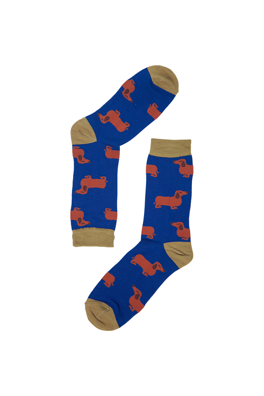 blue bamboo socks with miniature dachshunds on them