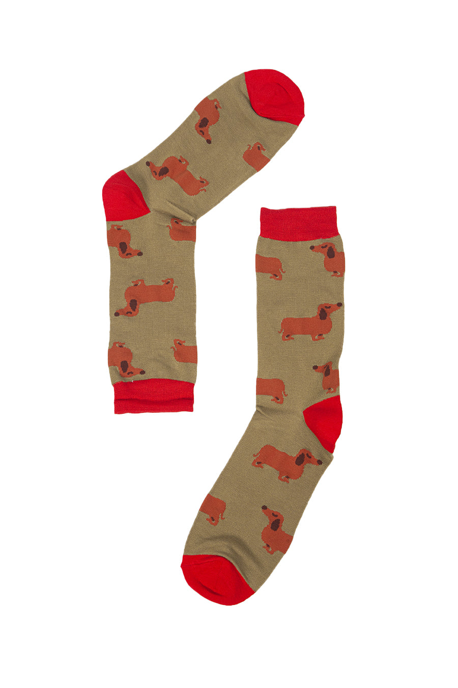 mustard red socks with miniature dachshunds on them