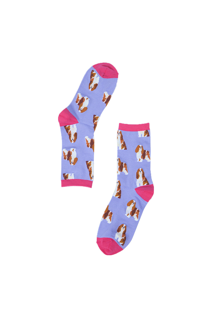 lilac bamboo socks with cavalier spaniels
