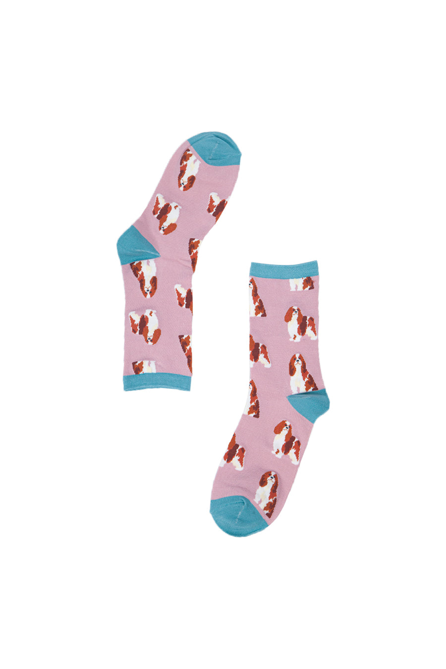 pink and blue socks with an all over print of king charles spaniel dogs