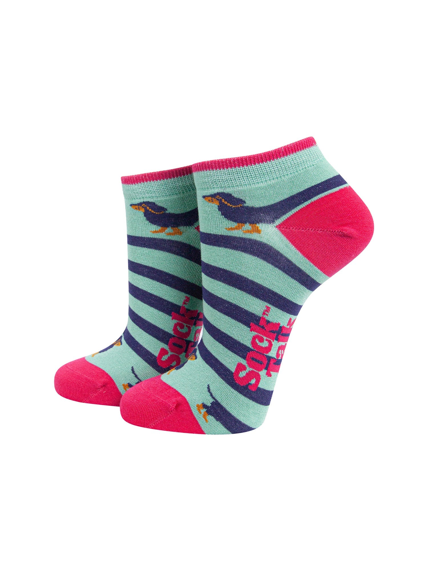 Winding-Sausage-Dog-Bamboo-Trainer-Socks-in-Mint-Mannequin