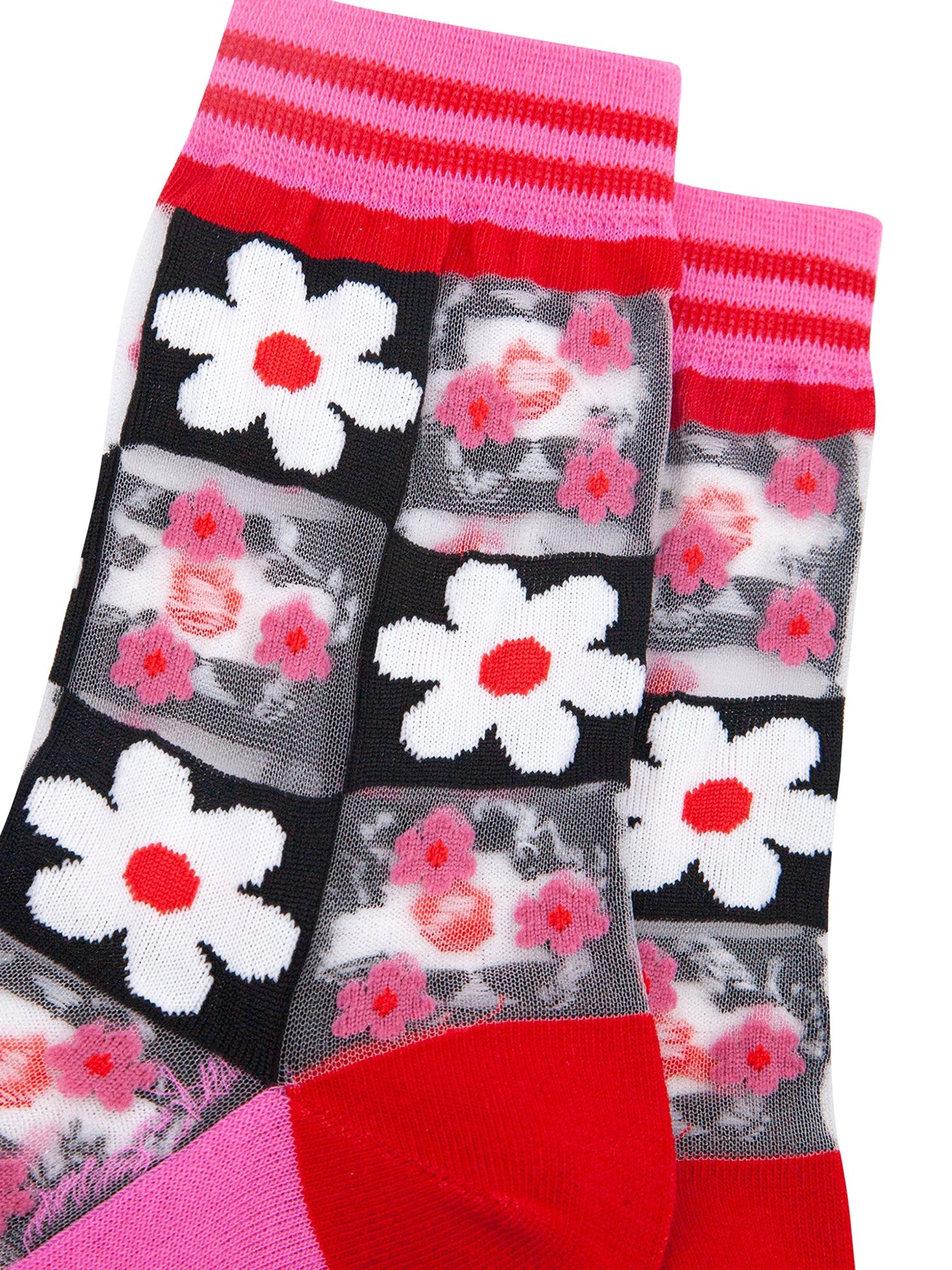 Daisy-Checkerboard-Combed-Cotton-Sheer-Pop-Socks-in-Pink-Closeup