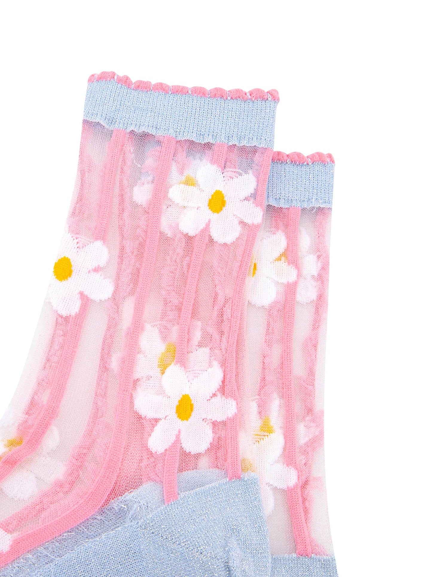 Daisy-Stripes-Combed-Cotton-Sheer-Pop-Socks-in-Blue/Pink-Closeup