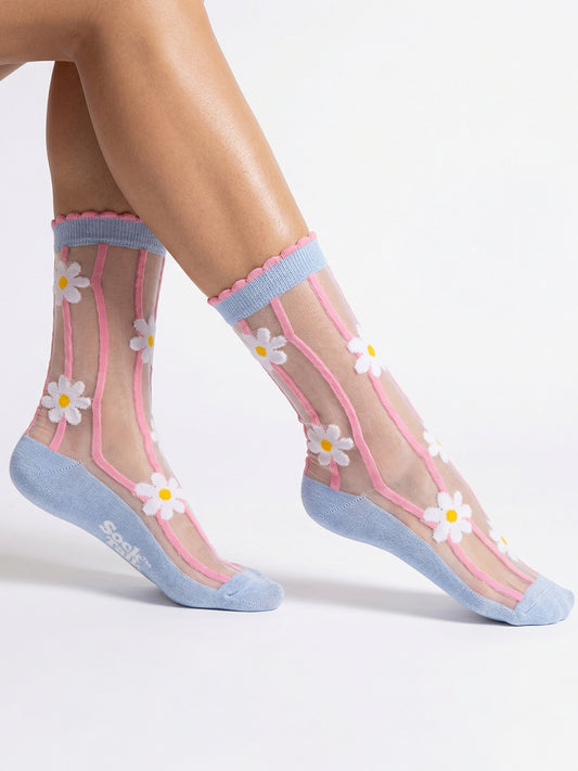 Daisy Stripes Combed Cotton Sheer Pop Socks in Blue/Pink