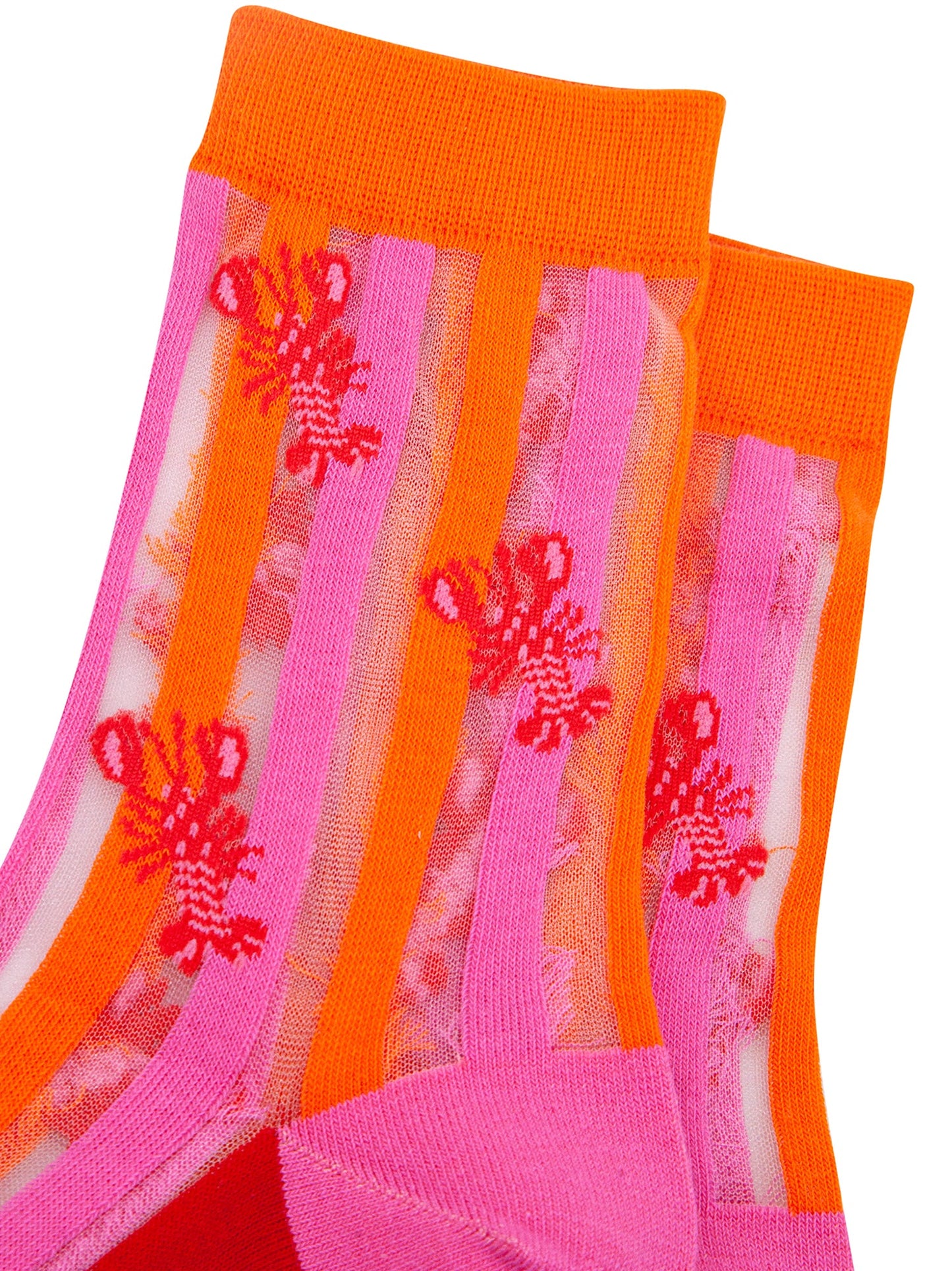 Lobster-Stripes-Combed-Cotton-Sheer-Pop-Socks-in-Pink-Red-Closeup