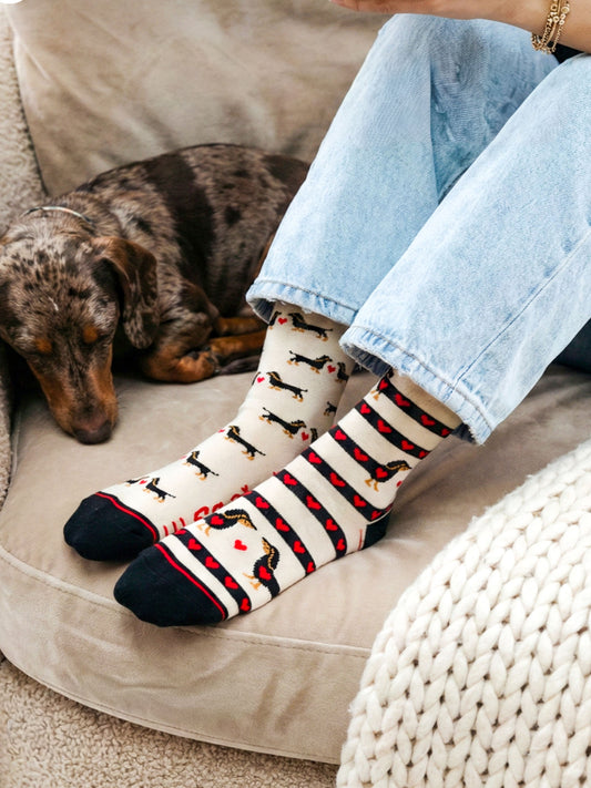 Sausage-Dogs-Hearts-Combed-Cotton-Odd-Socks-in-Cream