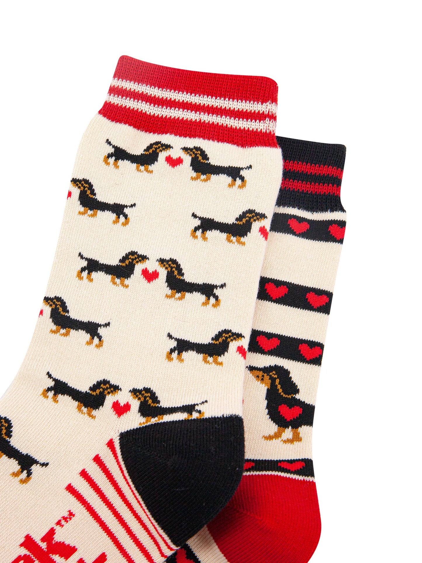 Sausage-Dogs-Hearts-Combed-Cotton-Odd-Socks-in-Cream-Closeup