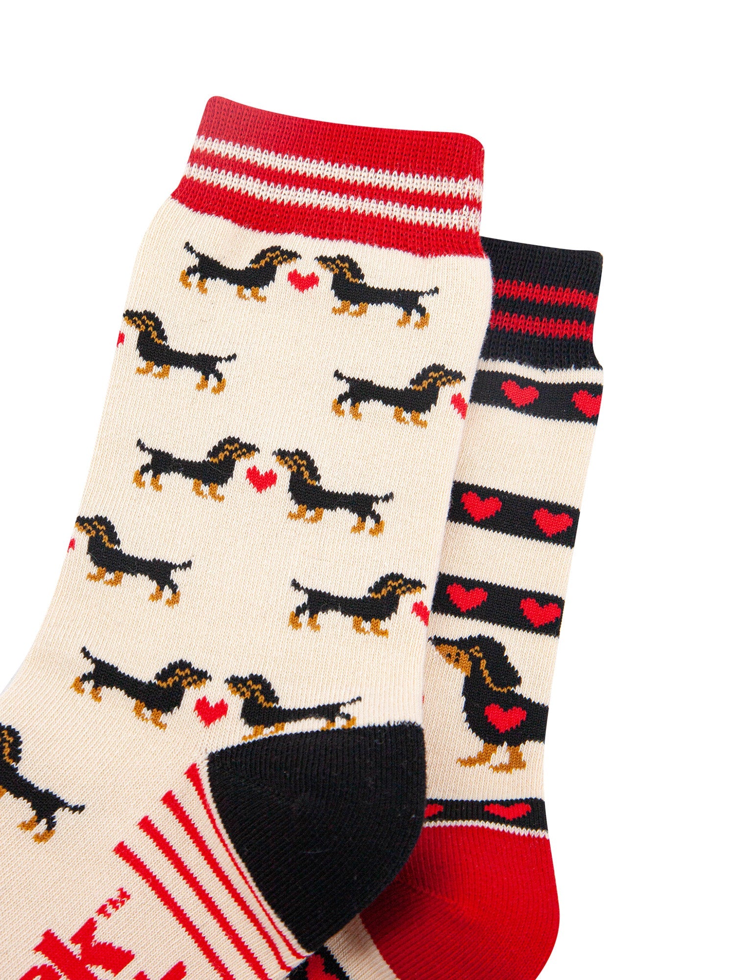 Sausage-Dogs-Hearts-Combed-Cotton-Odd-Socks-in-Cream-Closeup