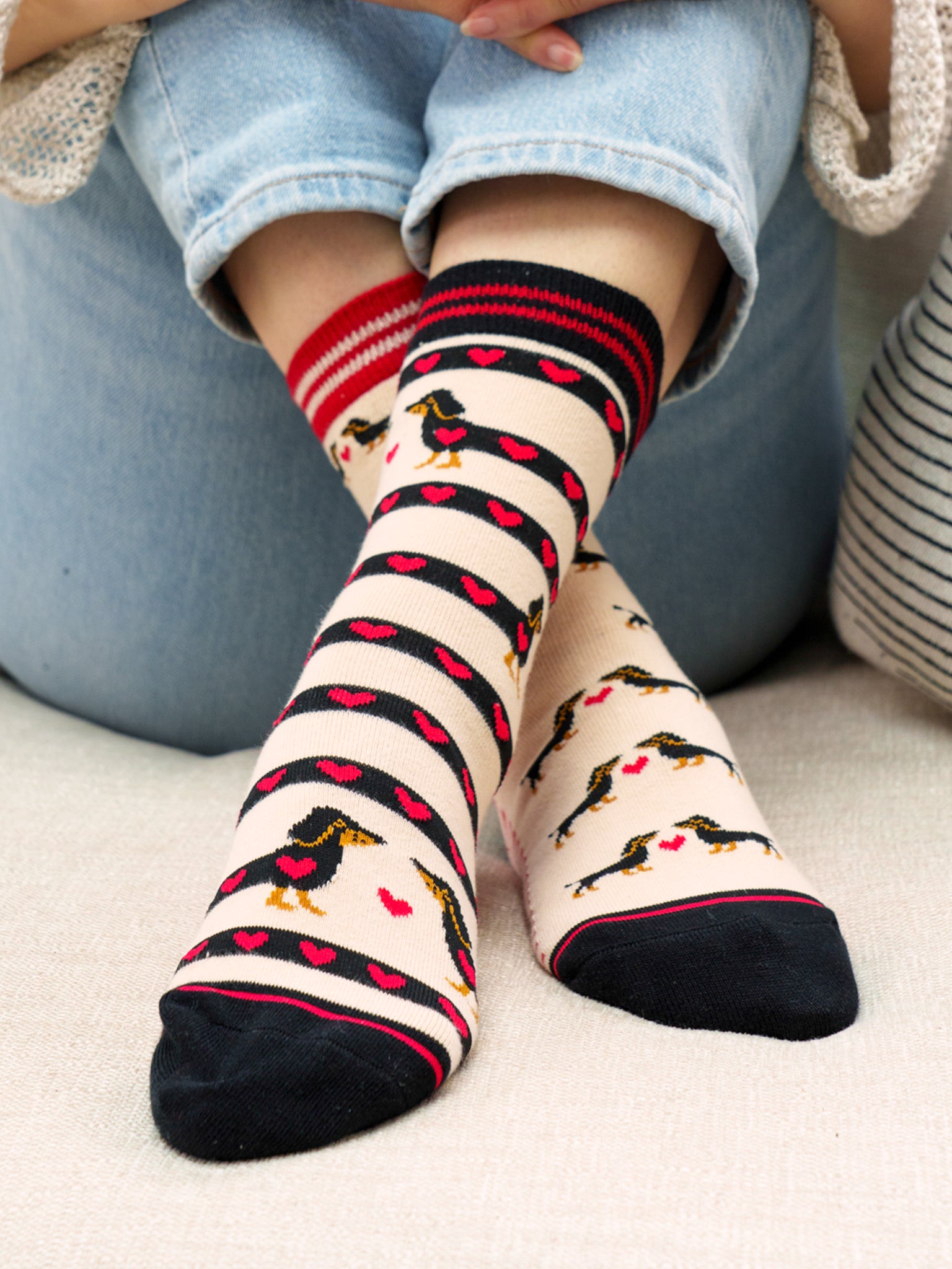 Sausage-Dogs-Hearts-Combed-Cotton-Odd-Socks-in-Cream