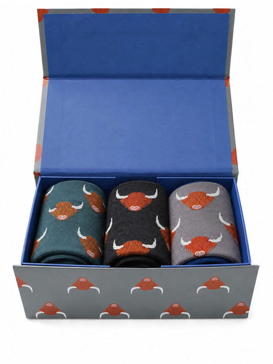 mens-socks-gift-box-blue-highland-cow