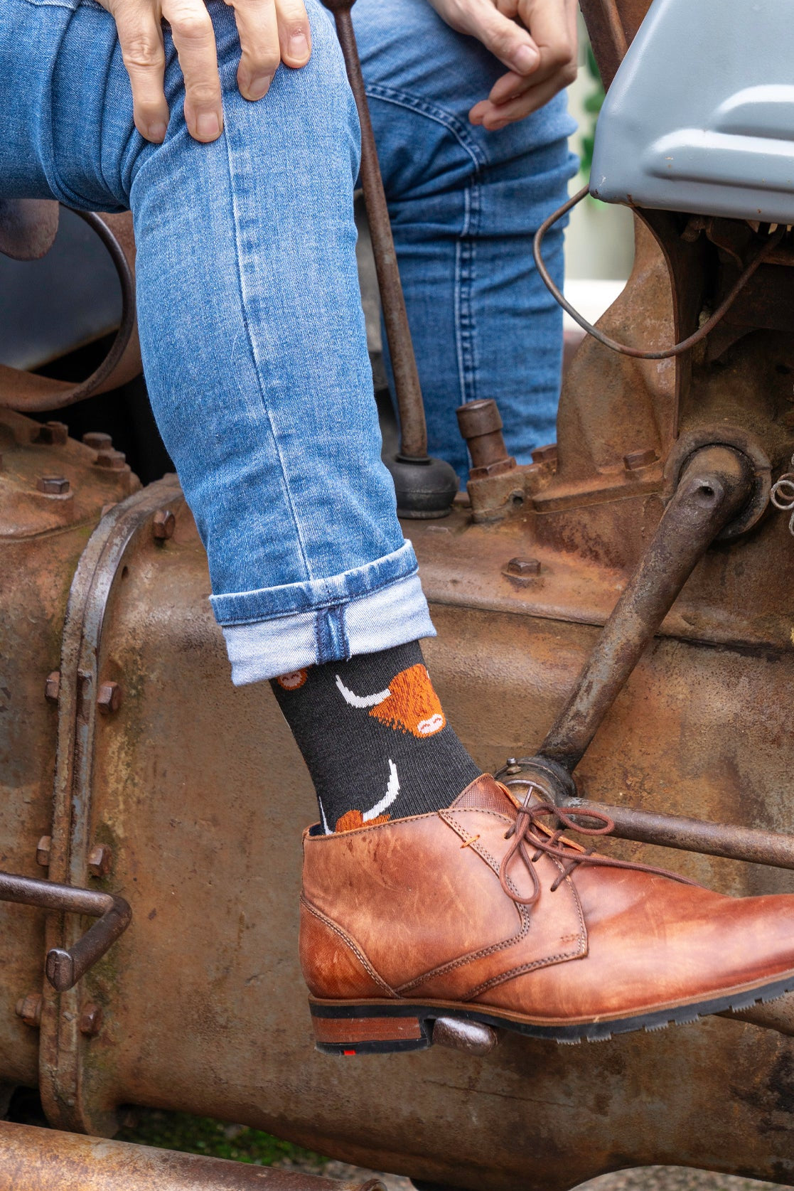 Men's Bamboo Socks - Black, Highland Cow