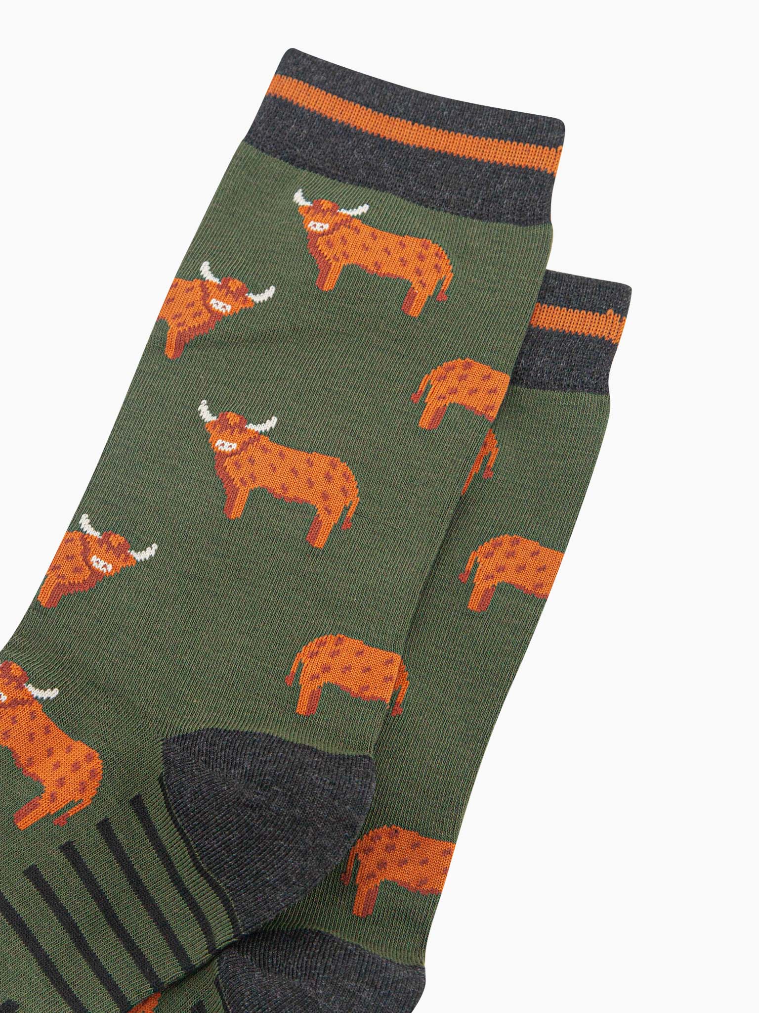 mens-bamboo-socks-khaki-highland-cow-close-up-orange-standing-cows