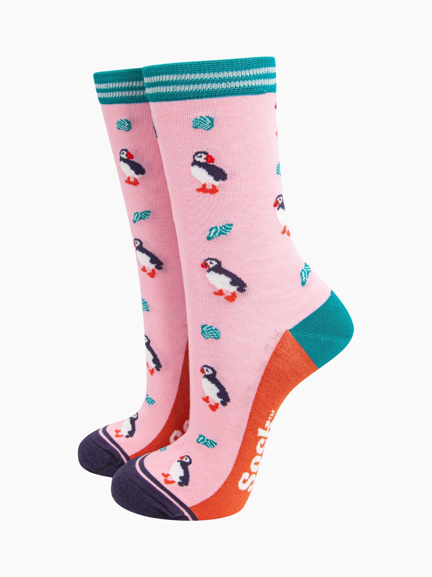 light pink bamboo socks with a pattern of black and white puffin birds and turquoise seashells. the socks have a turquoise and white striped cuff.