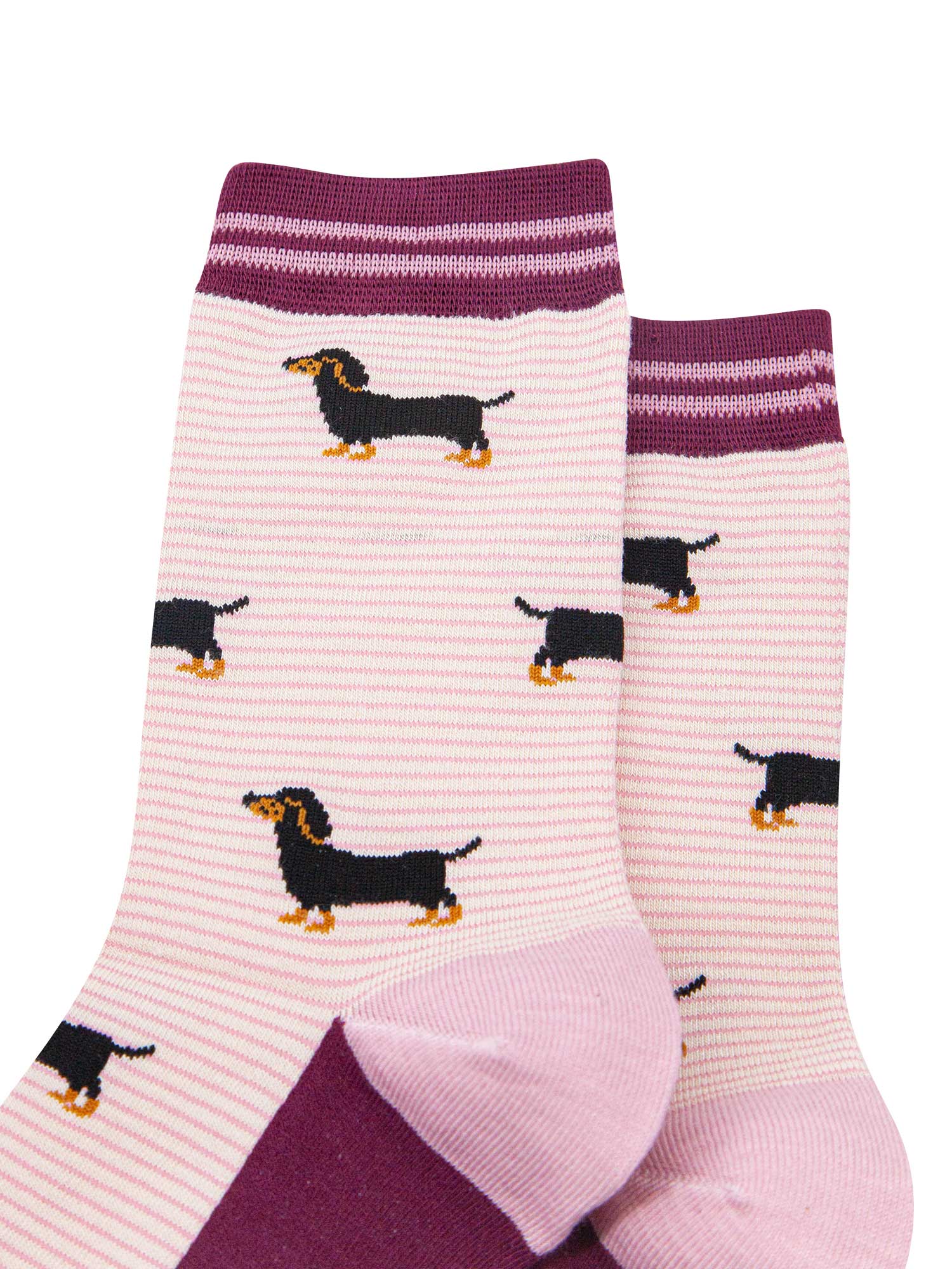womens-bamboo-socks-cream-berry-sausage-dog-stripes-close-up