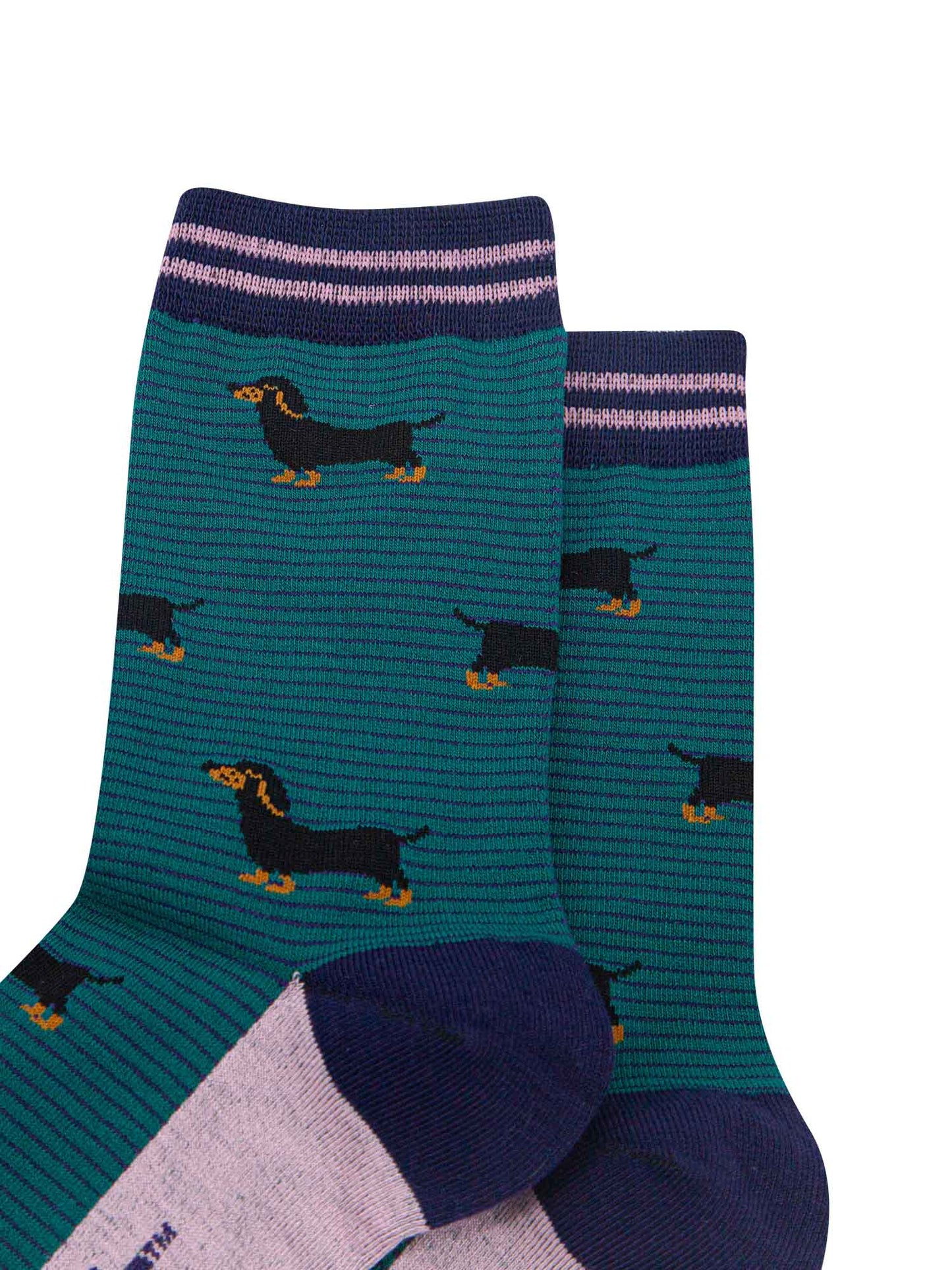 womens-bamboo-socks-forest-green-navy-blue-sausage-dog-stripes-close-up