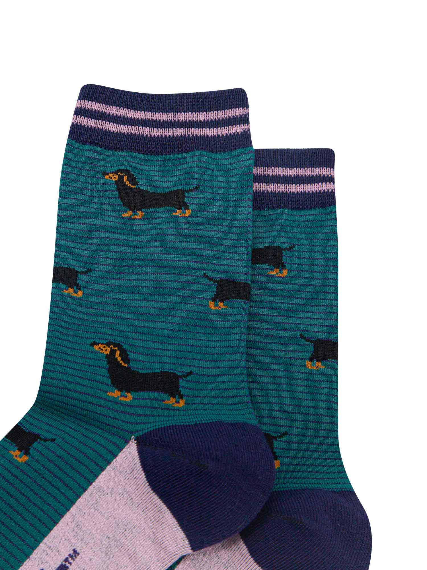 womens-bamboo-socks-forest-green-navy-blue-sausage-dog-stripes-close-up