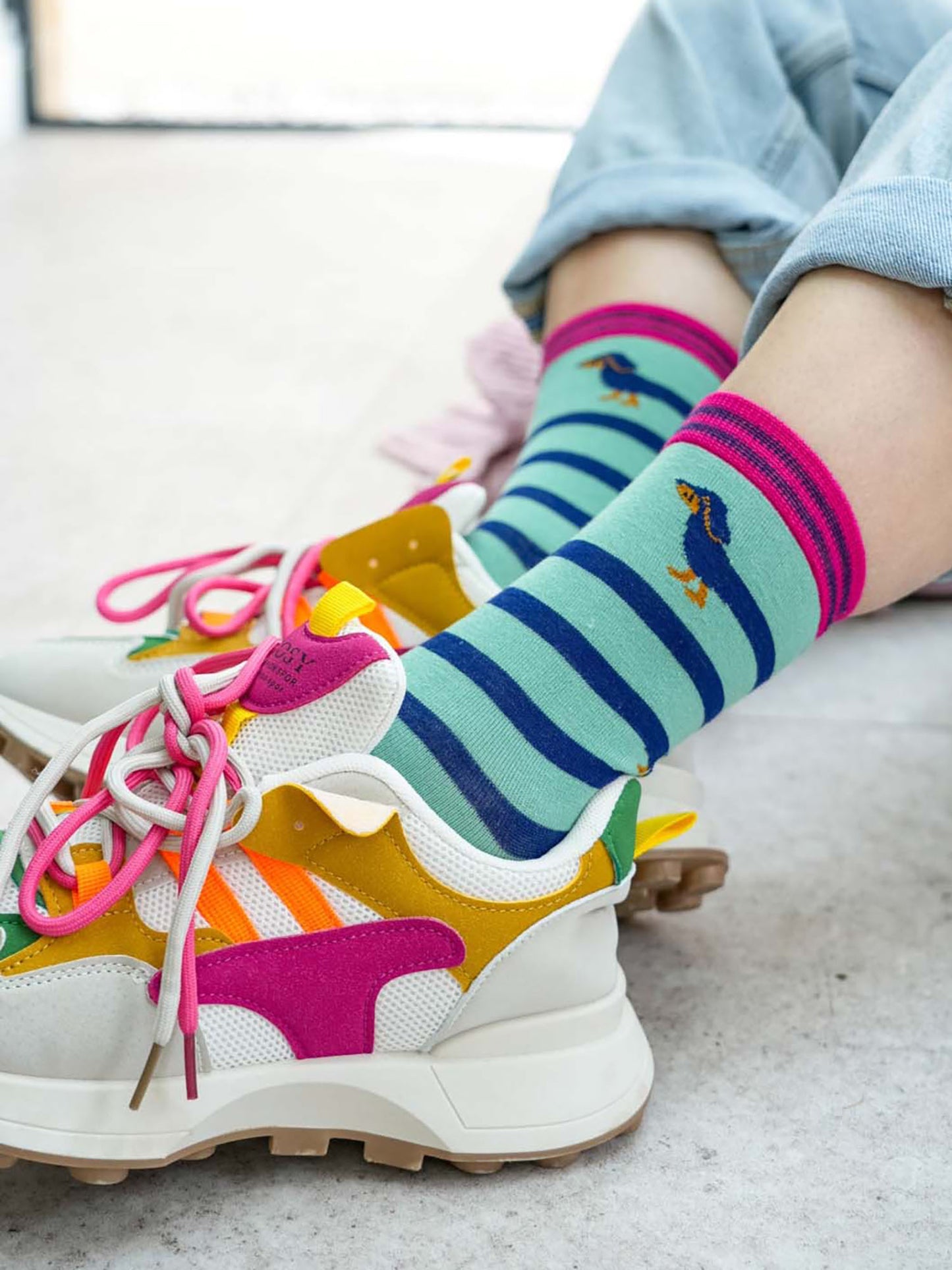 winding-sausage-dog-print-bamboo-socks-blue-and-pink