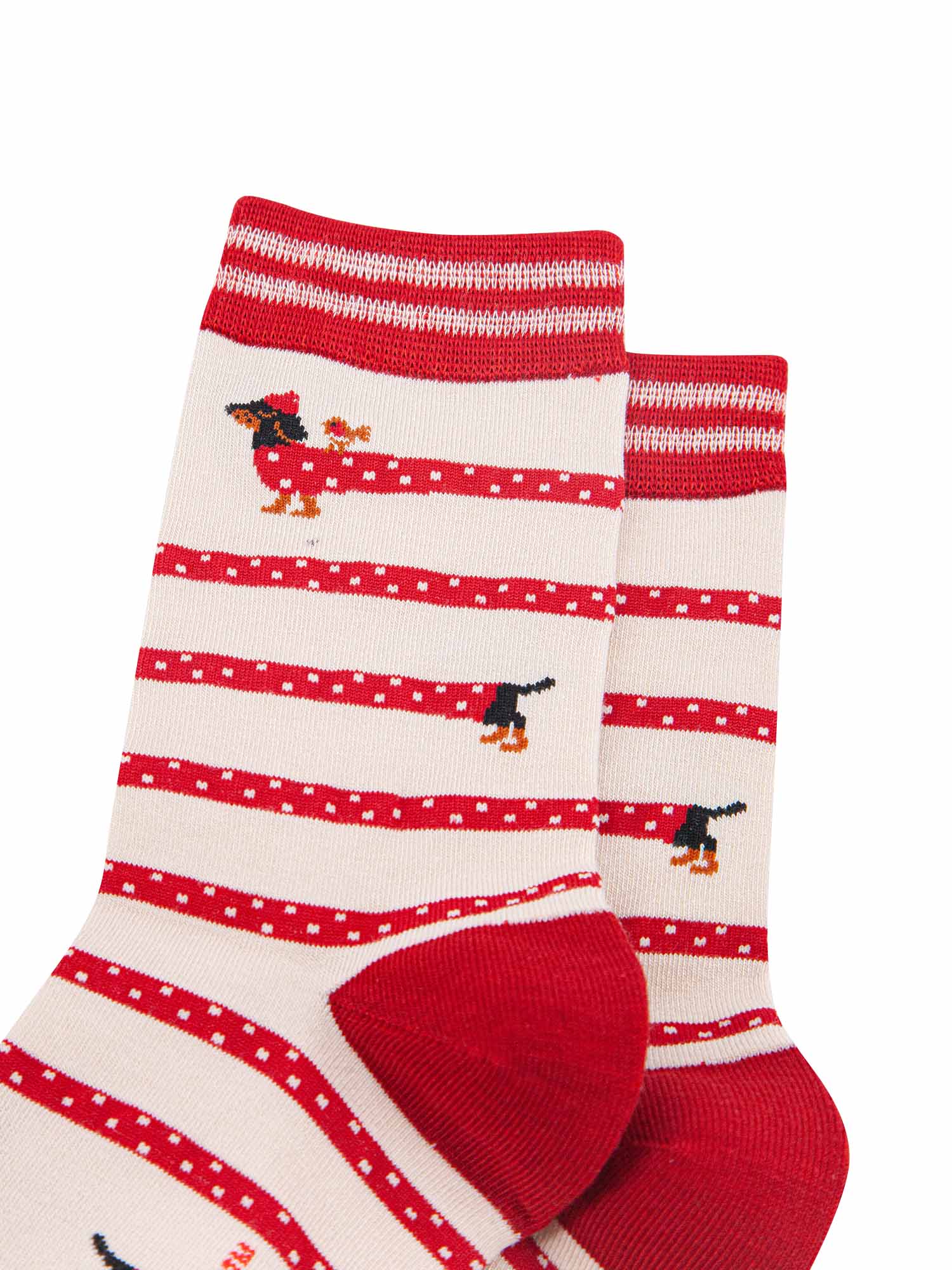 womens-bamboo-socks-cream-berry-winding-sausage-dog-close-up