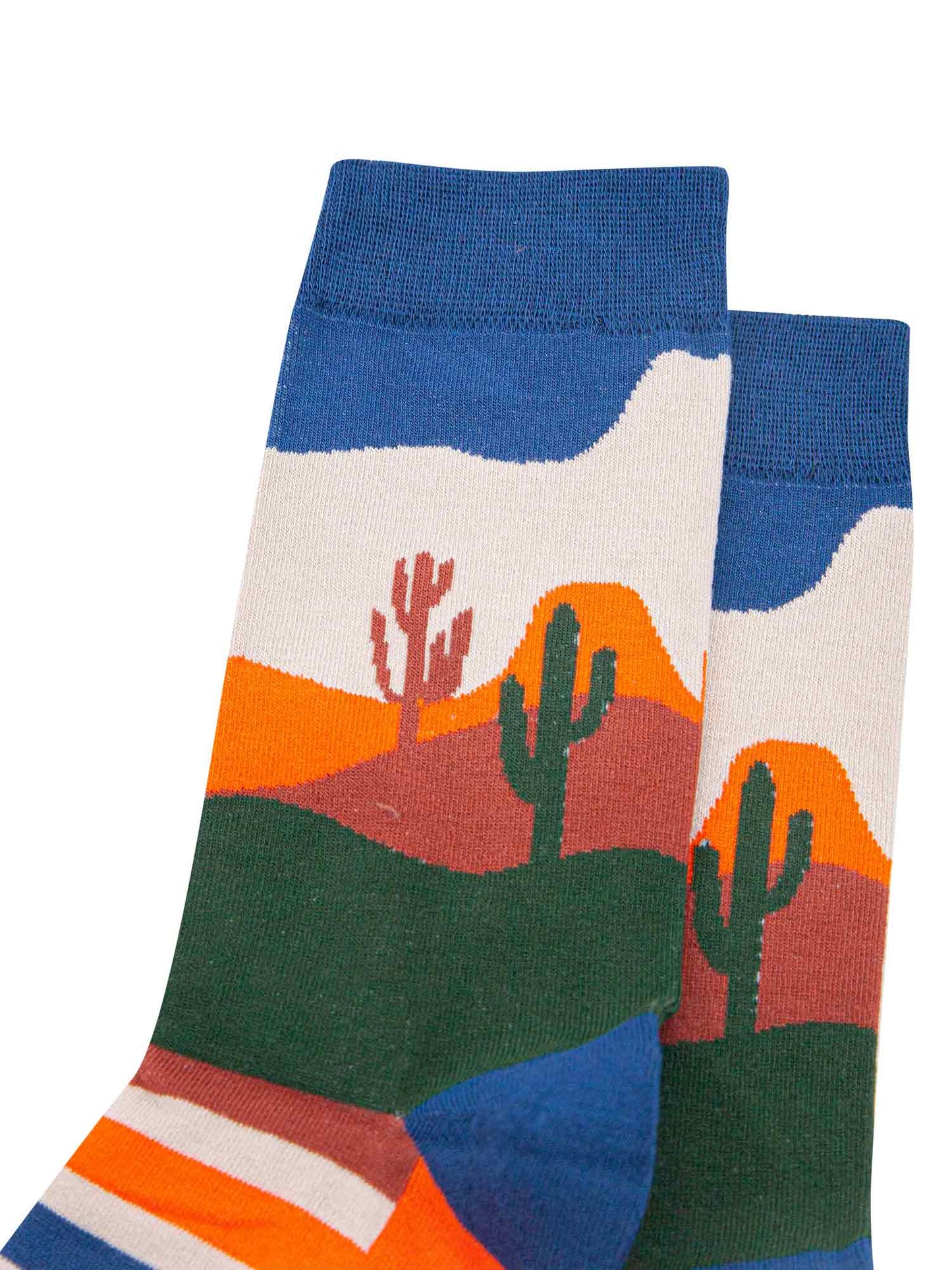 close up of the wild west desert cactus design