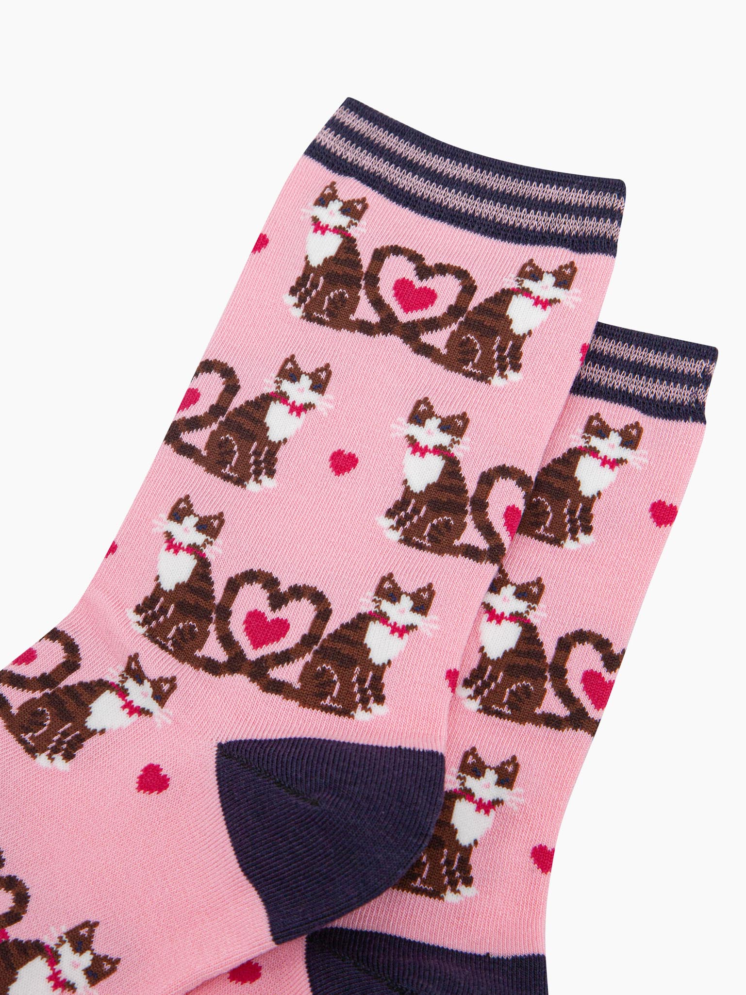 light pink bamboo socks with a pattern of brown tabby cats, their tails entwined to form a love heart shape. among the cats are fuchsia pink love heats. the heel and toe of the socks is navy blue. the cuff navy blue and pink striped.