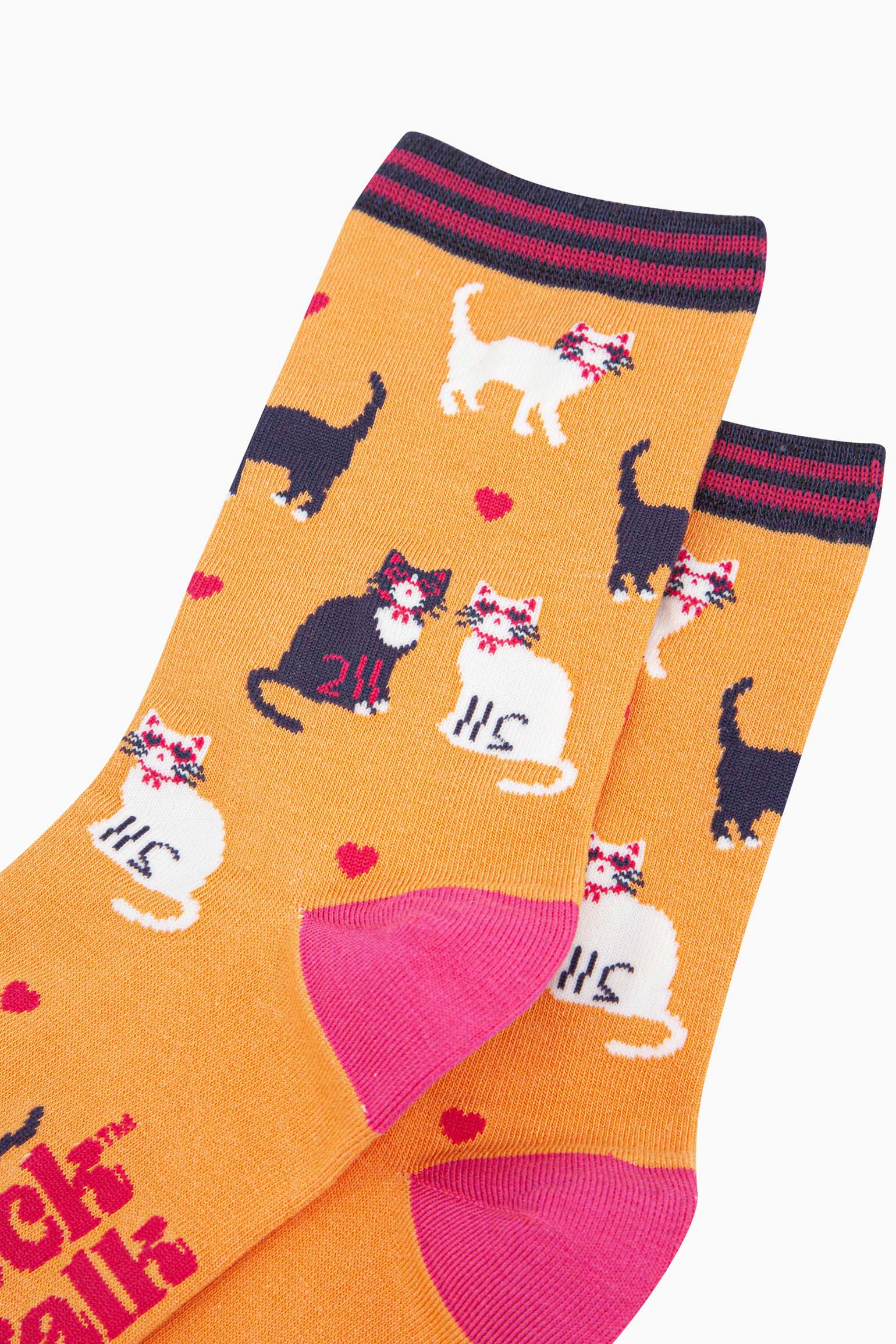womens-bamboo-socks-orange-cats-and-love-hearts-close-up-cats-wearing-pink-sunglasses-ties-cats-walking-and-sitting