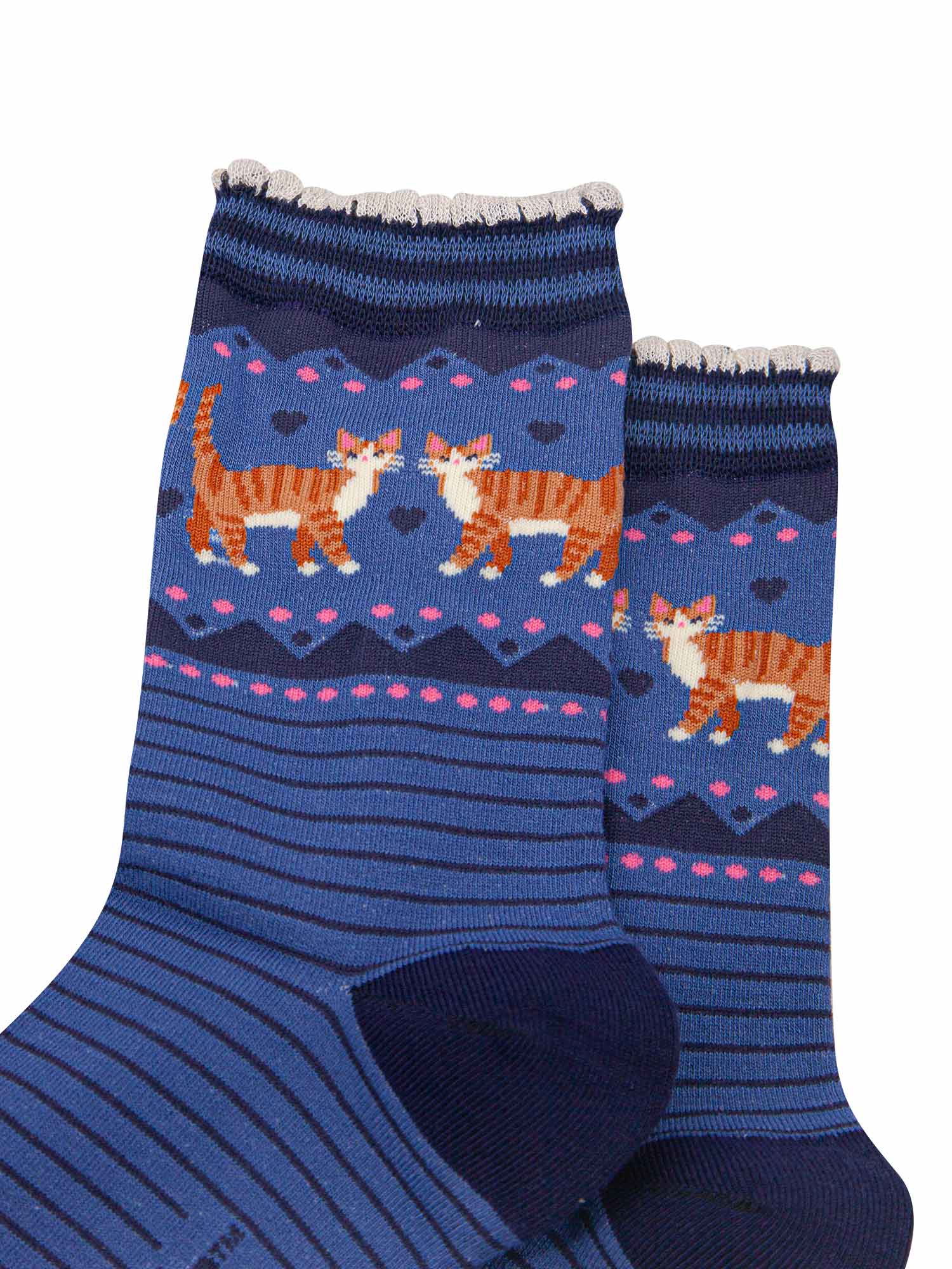 womens-bamboo-socks-denim-blue-navy-blue-ginger-cats-close-up